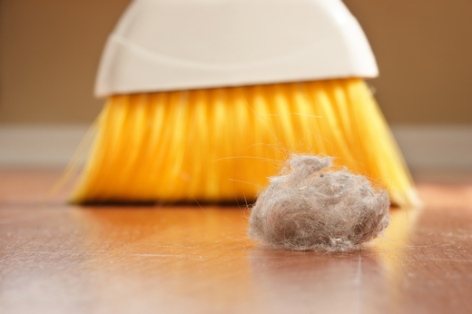 Dust_prach_5.jpg