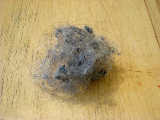 Dust_prach_9.jpg